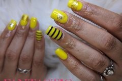 Yellow Bumble Bee Design